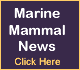 Click Here for Marine Mammal News